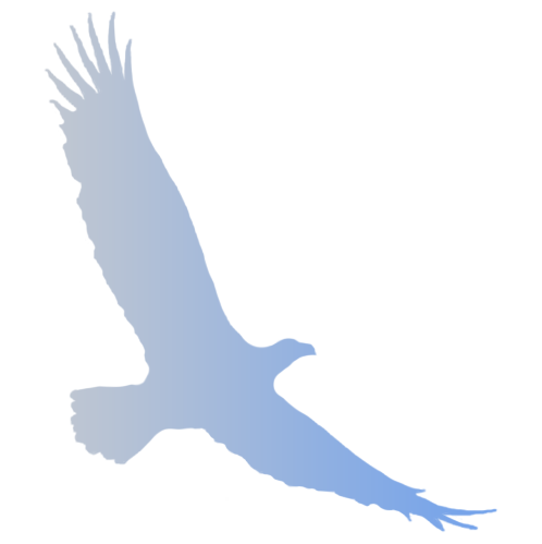 cropped blaeagle